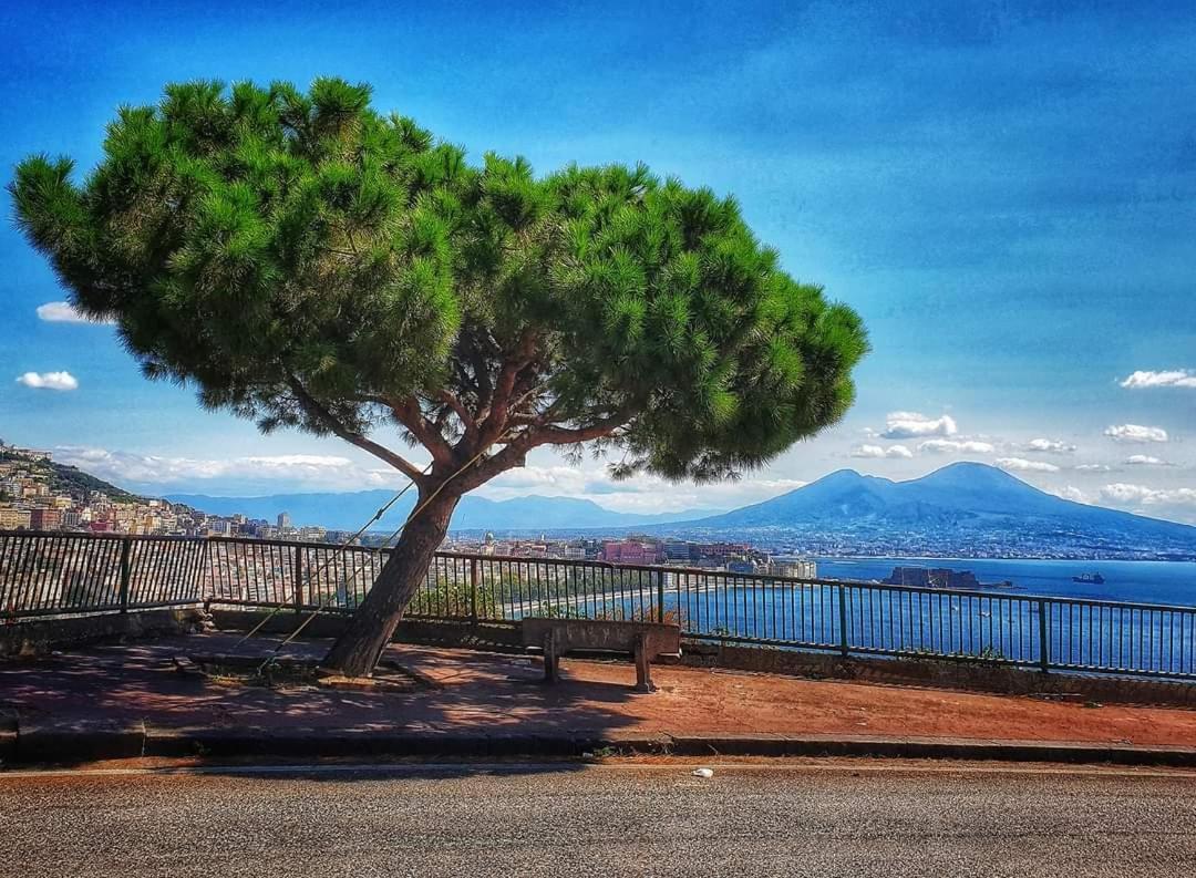 "Dint E Viche E Napule" Guest House Napoli Exterior foto